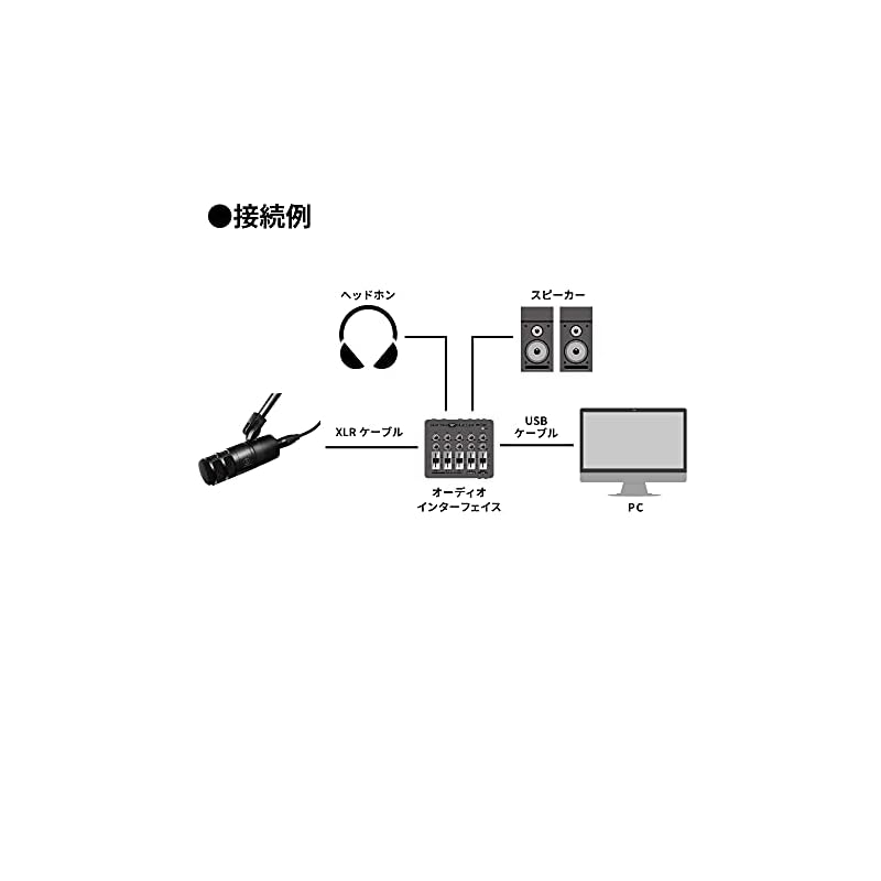 Audio-Technica AT2040 Dynamic Microphone, Supercardioid, XLR, Built-in Pop Filter, for Podcasts, Audiobooks, Game Commentary, Video Streaming, Black
