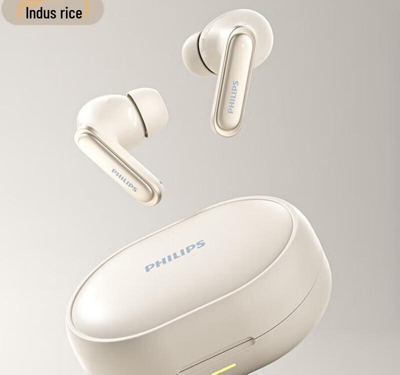 Philips True Wireless Bluetooth Earbuds TAT2120
