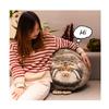 Cute And Adorable Japanese-style Plush Rabbit Monkey Pillow Cat Toy