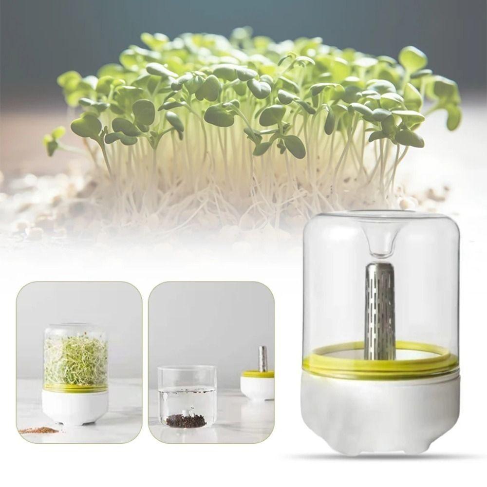 Mini Bean Sprouter Large Capacity Sprout Dish Growing Pot Bean Sprout Growing Machine Pea