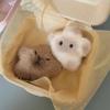 Plush Stuffed Squeeze Capybara Plush Keychain Cartoon Siamese Cat Keyring  Bag Hanging