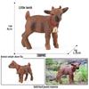 Wild Safari Animal Figurines: Giraffe, Elephant, Rhinoceros, Brown Bear, Tiger, Lion, Leopard, Hippopotamus - Solid Cognitive Toys