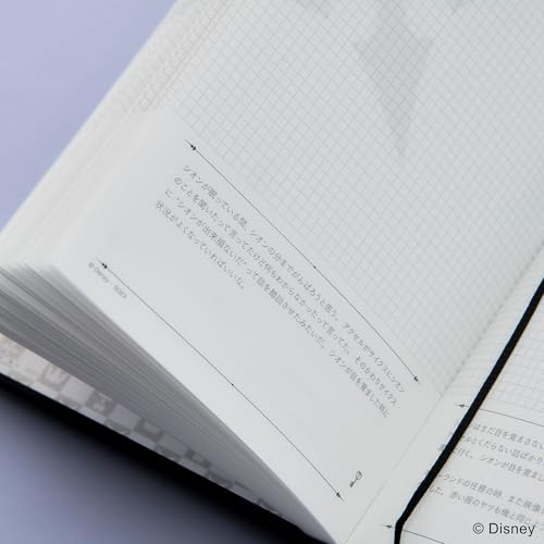 Kingdom Hearts/Stationery Diary Roxas Diary