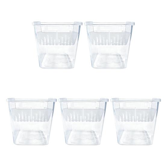 Tulip Bulb Planter 4-Cell Hydroponic Flower Pot with Reservoir Clear Plant Pot with Inner Drainage Pot for Indoor Gardening