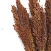 Cantal Grass Bunch Chocolate - Set of 6
