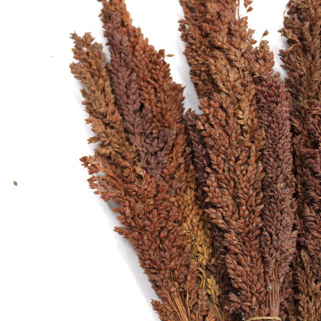Cantal Grass Bunch Chocolate - Set of 6