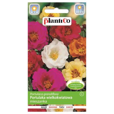 Purslane Large-flowered Vegetable Seed Mixture for the Garden 0.5g
