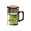 Tea Infuser Glass Mug with Lid and Handle