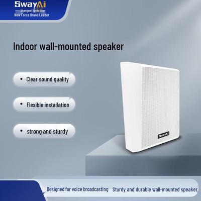 Commercial Wall-Mounted Speaker System CN Plug (adapter Included)