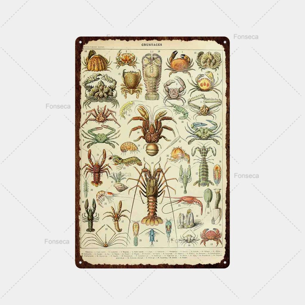 Ryby, ryby, květiny Odrůda Cedule Plechový cedule Vintage plechová cedule Bar Vintage Wall Decor Bar Club Man Cave Kovový plakát