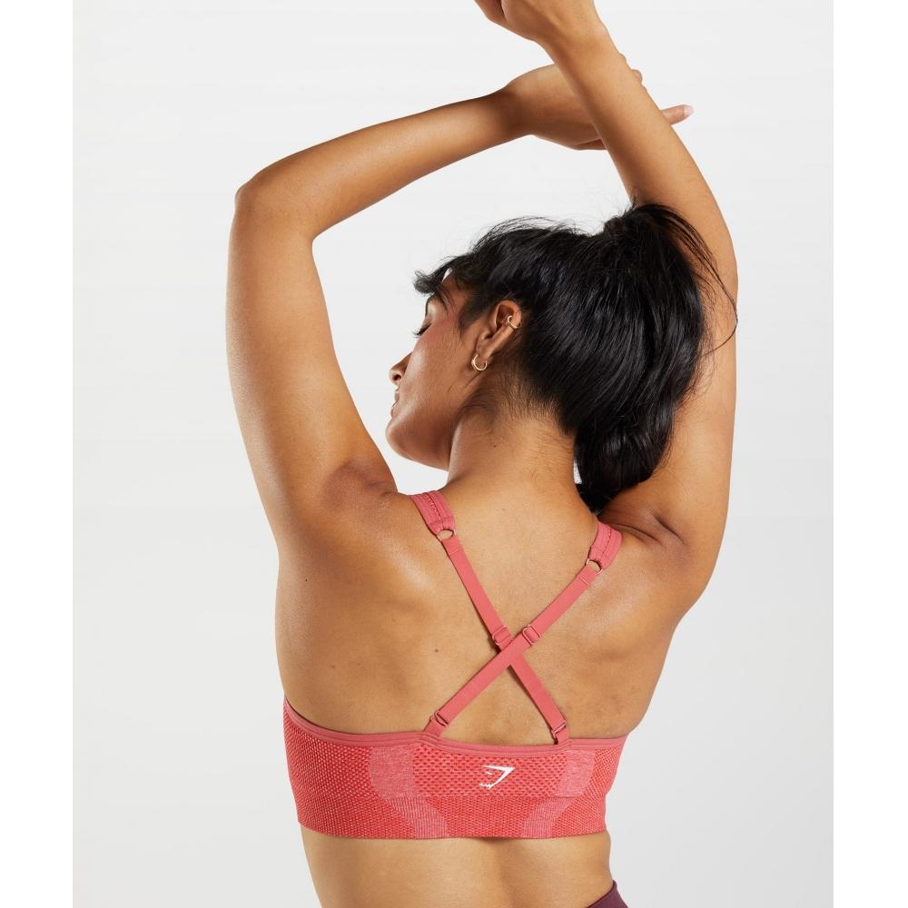 Gymshark Dnu Vital Seamless 2.0 V Neck Sports Bra B3a4k Rbjq
