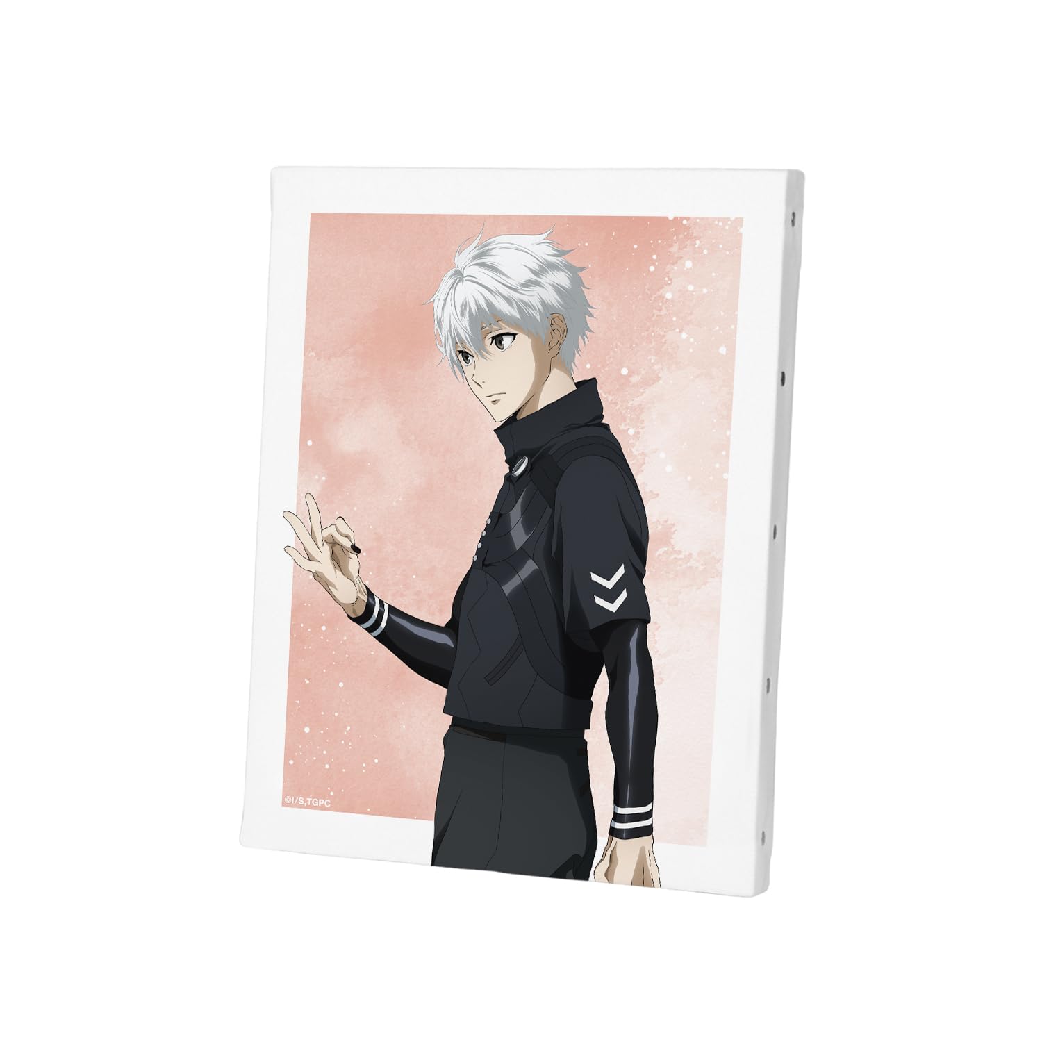 TV anime Tokyo Ghoul original illustration of Kaneki Ken Ayumi ver. canvas board