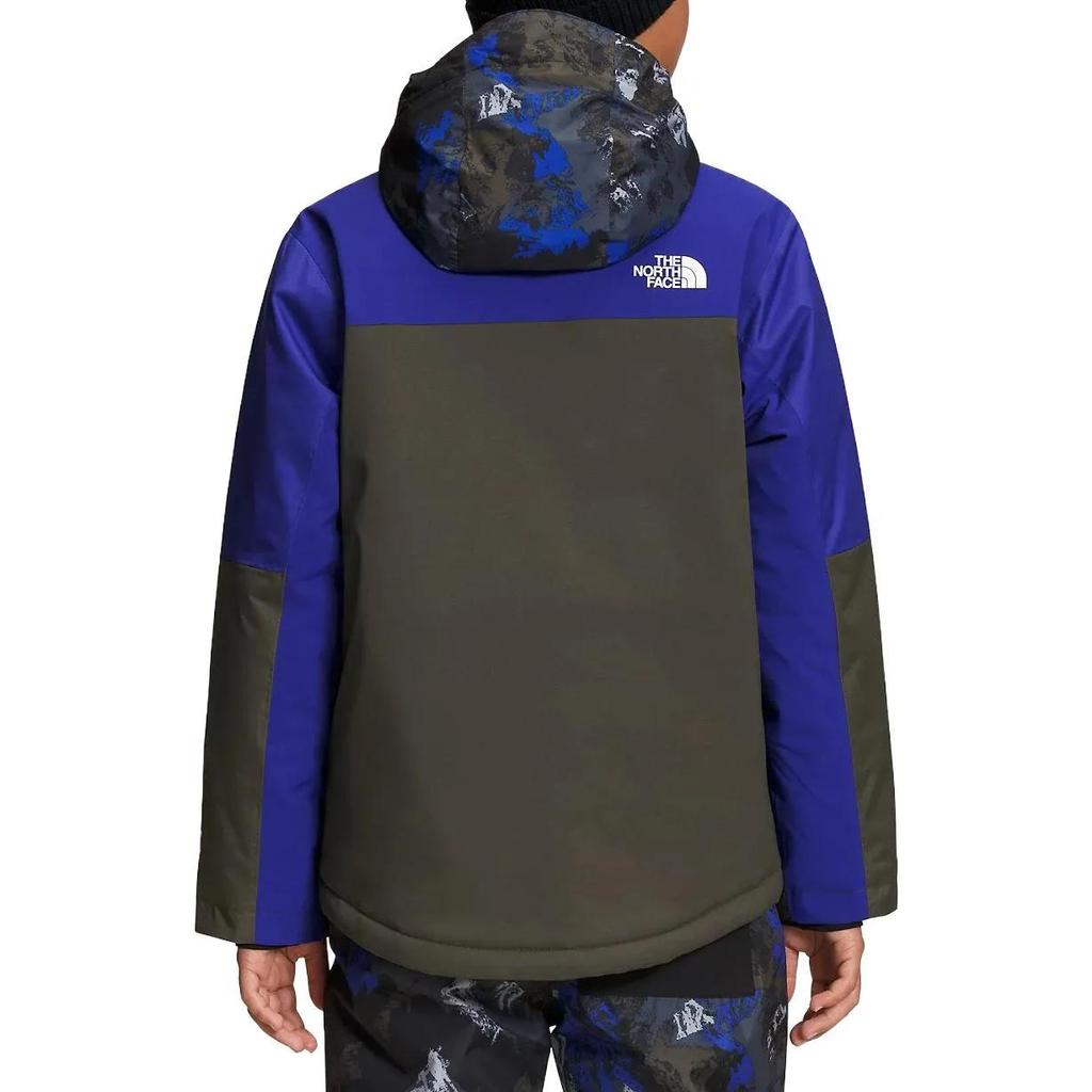 THE NORTH FACE Kids Jackets Hooded Moderate (Unisex) Jackets NF0A7WON 947