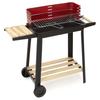 Grătar și frigărui – Grill-uri și grătare