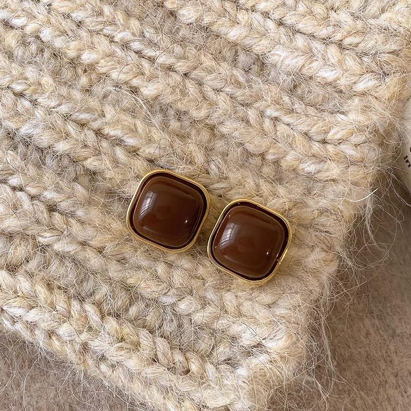 Maillard Coffee Color Amber Earrings Women's Autumn and Winter High-end Commuter Style Earrings Light Luxury Niche Design Earrings