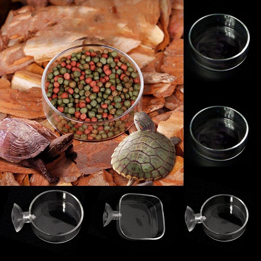 Acrylic Aquarium Feeder with Suction Cup Universal Aerial Feeding Bowl Transparent Fish Shrimp Feeding Dish