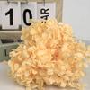100g/Box Preserved Anna Hydrangea Gradient Real Eternal Petals Wedding Party Gift Decoration DIY Gift Preserved Flowers Decor