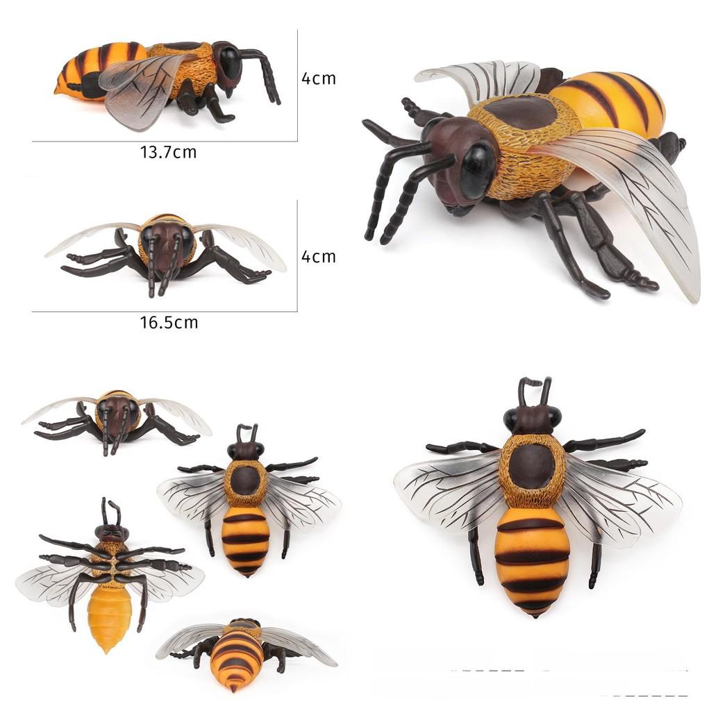 Large Wild Bee Replica With Pvc Construction For Educational Decor And Kids Gift