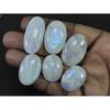 241Cts. Natural Rainbow Moonstone Oval Cabochon Loose Gemstone 06 Pcs Lot C-1662