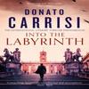 Into the Labyrinth by Donato Carrisi Paperback Book 9780349143958
