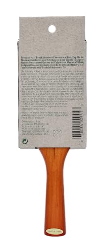 Aveda Mini Paddle Brush (Parallel Import) 1 Piece (x 1)