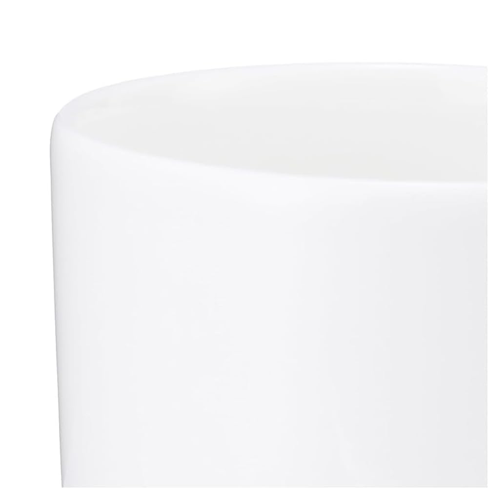 NARUMI Cup and Flat Simple and Espresso Microwave and Dishwasher Saucer, Rim, 100cc, White, Stylish, Cup/Demitasse Cup, Safe, 51030-2876