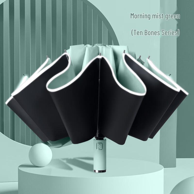 OIMG 10-Rib Fully Automatic Reverse Folding Umbrella