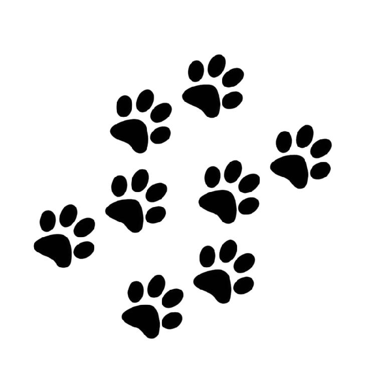 8Pcs Not Fade Water Resistant Pet Themed Stickers Upgrades for Auto Exterior & Personal Belongings Long Lasting Quality