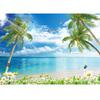 3d Beach Wall Mural Sky Ocean Wallpaper Living Room Beach Wallpaper
