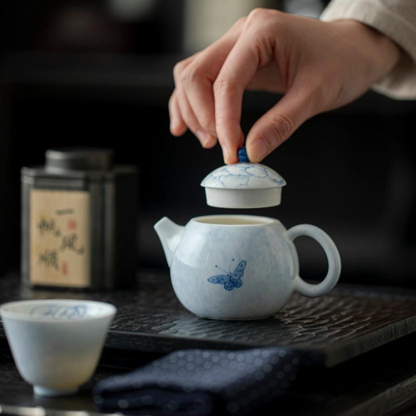 Underglaze Hand Painted Ceramic Teapot Blue Butterfly Design Ball Filter Small Kungfu Tea Set Home Office Use Chinese Style