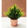 Plastic 6 Packs Fake Plants Small, Mini Artificial Plants Indoor For Home Farmhouse Bathroom Shelf Décor (Multi, Height : 17Cm)