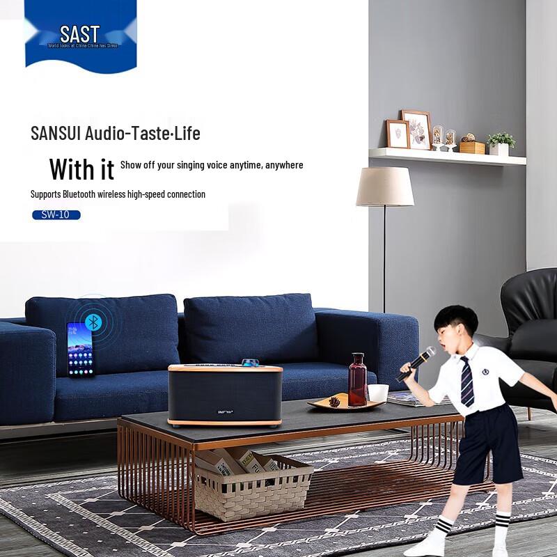 SAST SW-10 Wireless KTV Karaoke Speaker System