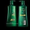 100 Years Runfa Anti-Dandruff Conditioning Shampoo N5