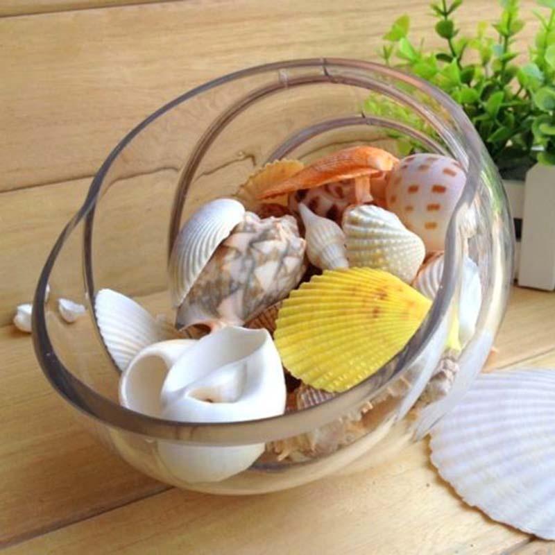 Circa 100g di Conchiglie Marine Miste 30 Pezzi per Sacchetto, con Colori Casuali per Creare un Paesaggio Acquario Unico