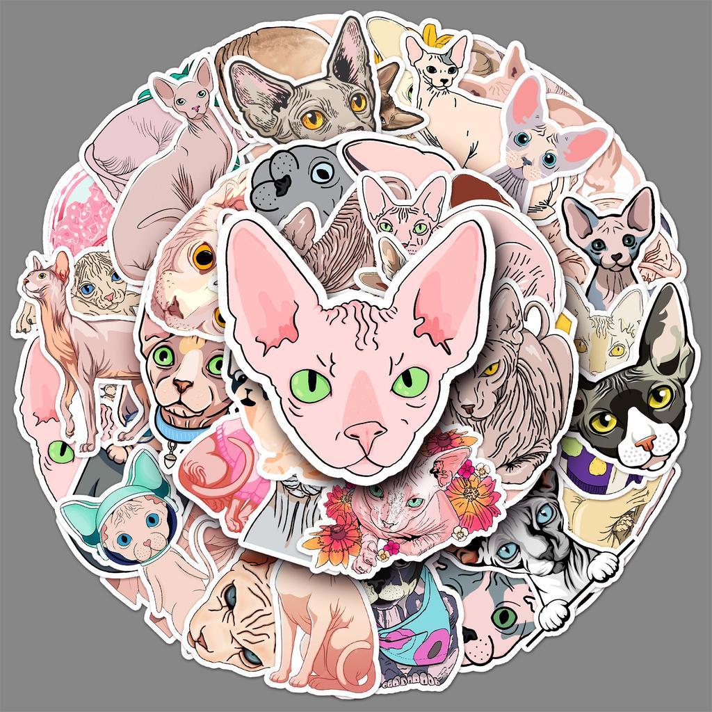 50 Photos of Sphinx Hairless Cat Doodle Cartoon Cat Guka Decorative Water Cup Suitcase Sticker Waterproof