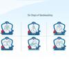 Safeguard Cool & Refreshing Antibacterial Mint Scent Soap (2 x 100g)
