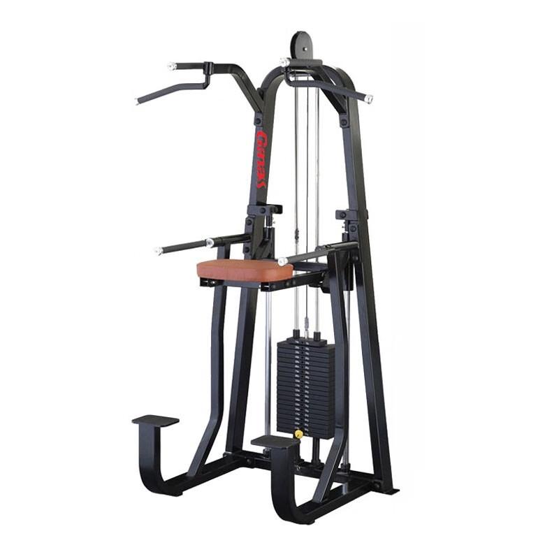 Ganas Pull-up and Dip Station