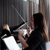 VICASKY Music Baton Stainless Music Band Accessories Baton, Steel, Retractable, Conductor, Teaching, Choir, Durable, Lightweight, Concert,