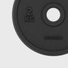 Decathlon Rubber Coated Cast Iron Dumbbell Plate