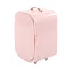 Mini Refrigerator Home Car Dual Use Makeup Fridge Portable Dormitory Office Refrigerator for Fruit