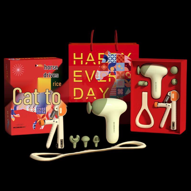 

Hezheng Small Fortune Sports Recovery Gift Set CN plug (adapter included)