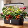 Premium Smart Hydroponic Planter Kit with Growth Lamp for Soilless Cultivation
