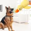 Interactive Plush Duck Dog Toy with Squeaker – Durable Chew Toy for Small To Medium Dogs, Fun Barking Sound for Playtime & Teeth Grinding