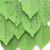Kawai Stationery Simulated Tree Leaf Sticky Notes Simple Pad Message Stickers Creative Simple and Convenient Wish N Times Lovely