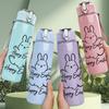 1PC Happy Easter Bunny Sketch 750ml Color Plastic Sports Water Bottle Leakproof Flip Straw Lid Suitable for Sports Office Home Use
