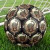 Prehistoric Dinosaur Emblem Round Football Size 5 Adult Ball Suitable for Training Matches and Outdoor Team.