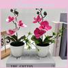 Simulated Sand Phalaenopsis Bonsai Green Plants For Home Decoration Wedding