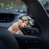 Cute Little Bear Turn Signal Switch Decoration Auto Handle Decorative Plush Doll Car Interior Decoration Wiper Ornament Toy Gift