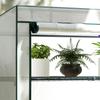 Four-Tier Mini Greenhouse - Green/White