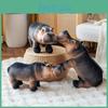 Artificial Plush Hippo Toy Cute Children Zoo Commemorate Holiday Dolls Gift